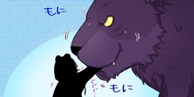 ���� ���� �� �٥����ʥ��ߥå��� 90�ڥե륫�顼��