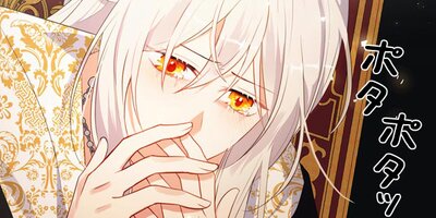 �����ȼη 90�ڥե륫�顼��