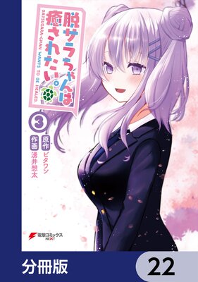 æ��������������줿������ʬ���ǡ� 22