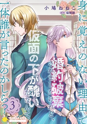 お得な240ポイントレンタル】身に覚えのない理由で婚約破棄されました