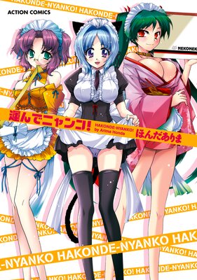 ����ǥ˥�󥳡���ɽ��