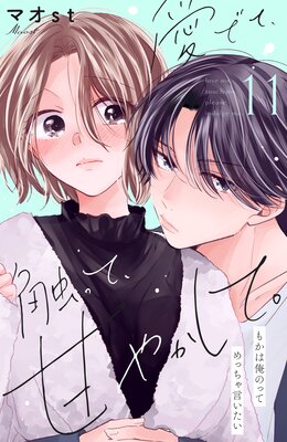 ���Ǥơ����äơ��Ť䤫���ơ� ʬ���� 11��