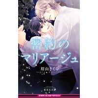 密約のマリアージュ【イラスト入り】