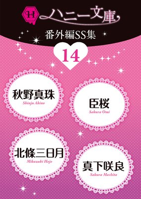 �ϥˡ�ʸ���ֳ���SS��14