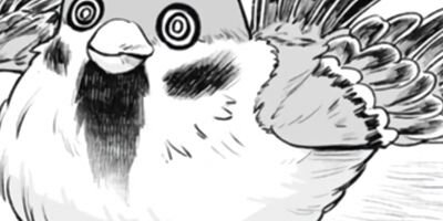 �����β��֤� 13