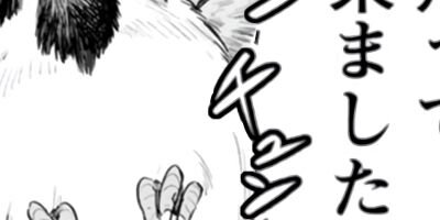 �����β��֤� 34