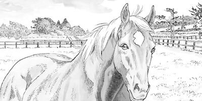 ���� ͥ�٤��������� 5