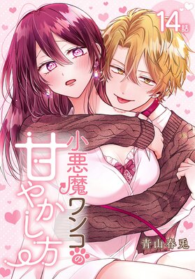 �������󥳤δŤ䤫�����ΤФ����� ��14��