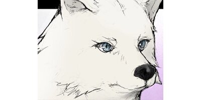 ��������ƣ���󡢰������˹Ԥ��ڥ��ƥ����� Chapter29�ڥե륫�顼��