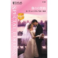 偽りの誓約 ロマンスは海を越えて II