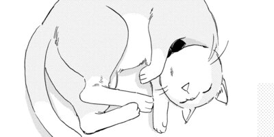 ���Ȥ����ȥܥ��� 8