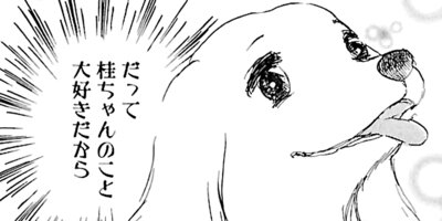 ��Ⱦ��Ƹ�� 3