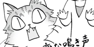 �ǥ�ǭ���� 22