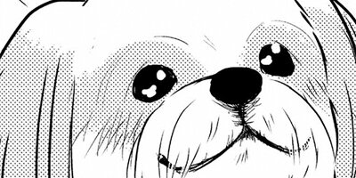 �ϥ뤵��ȡ� 22