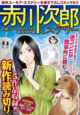 ���Ϻ�ߥ��ƥ꡼ �ֲǥ��꡼�����쥯�����ֳ��äפ��βֲǡ�