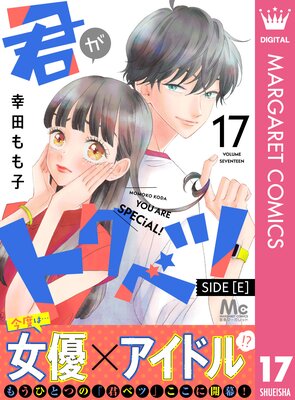 �����ȥ��٥� ʬ���� SIDE ��E�� 17