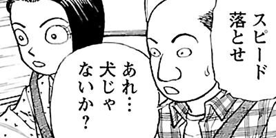 �����⤤��ŷ�� �ļ���餷�� 31