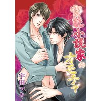 官能小説家のオモチャ