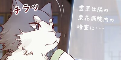 �Ľ��ͤϥ������˻� 24�ڥե륫�顼��