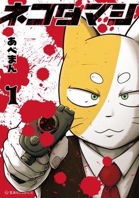 �ͥ����ޥ���ɽ��