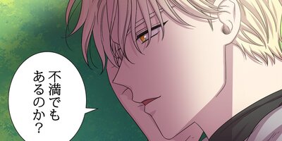 ������ǥ󥿥���38�áڥե륫�顼��