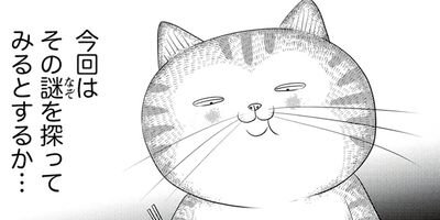 ǭ��餢�� �ڤ���������̡���ա� 8