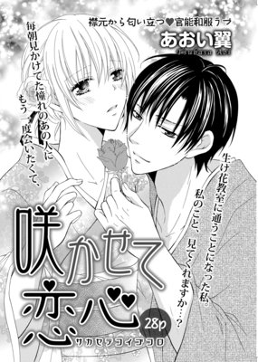 �ڥХ����ۺ餫��������