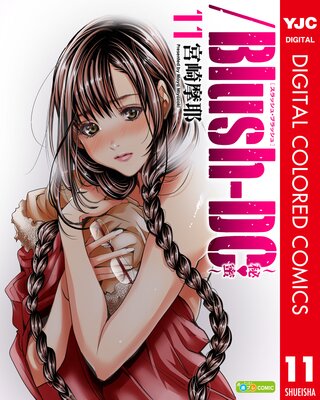 /Blush-DC ~秘・蜜~ カラー版 11