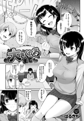 �礭���ʤ�ޤǤ�ɽ��