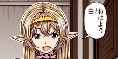 ����ɤΥ����Ȥʼ��վ�ʥ��ߥå��� 88�ڥե륫�顼��