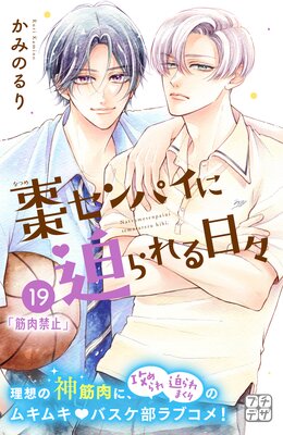 ܧ����ѥ������������� �ץ��ǥ� 19��