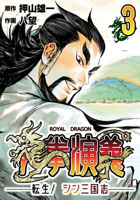 龍拳演義 〜転生!シン三国志〜3