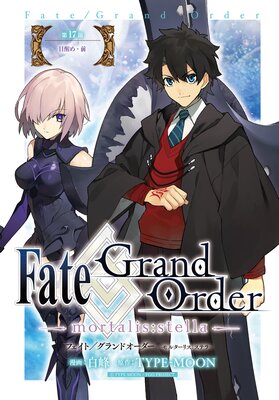 FateGrand Order mortalisstella 17 äᡦ