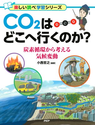 CO2ϤɤعԤΤ úǽ۴Ĥͤ뵤ư