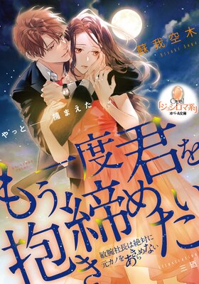 もう一度君を抱き締めたい 敏腕社長は絶対に元カノをあきらめない