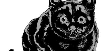 ��˷�ä����פλ����ë�����������쥯������ 8