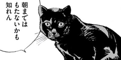 ��˷�ä����פλ����ë�����������쥯������ 63