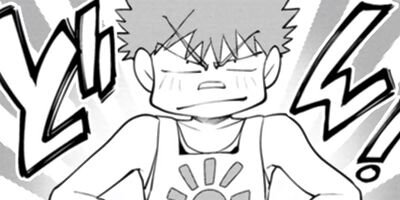 ���������² 24