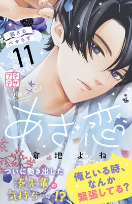 ������ �ץ��ǥ� 11��