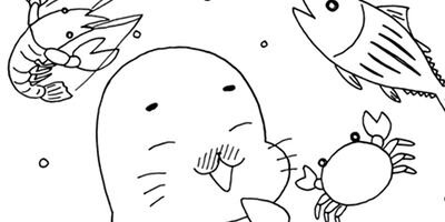 COMA GOMA ���ޤ���� 3