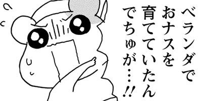 �������Ф󥨥Ӥ��� ����� 26