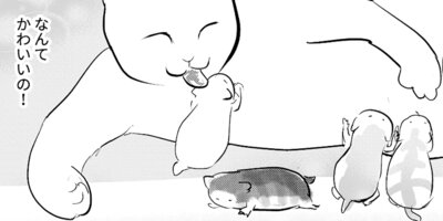 �������Τ����� 1