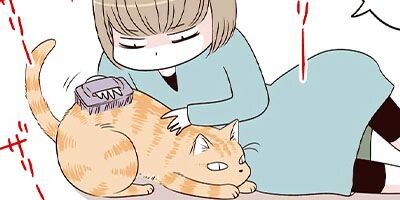 ��äѤ�ǭ�Τ����������ʤ�Ǥ��� 4�ڥե륫�顼��