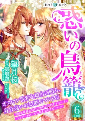 �Ǥ���Ļ�� ʬ���ǡΥۥ磻�ȥϡ��ȥ��ߥå��� 6��