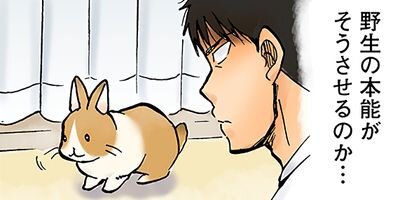 �Ƥʤ�Υ���������ڸ�����ŵ�դ��� 6