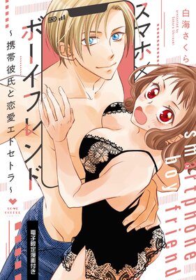 ���ޥۡߥܡ����ե��� �����������������ȥ��ȥ�����ŻҸ���̡���դ�Renta�������ǡ�