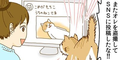 �ͥ��μꡢ�ڤ�Ƥޤ��� 2�ڥե륫�顼��