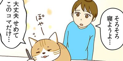 �ͥ��μꡢ�ڤ�Ƥޤ��� 5�ڥե륫�顼��