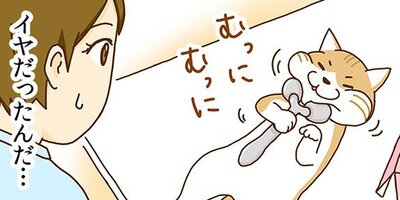 �ͥ��μꡢ�ڤ�Ƥޤ��� 7�ڥե륫�顼��