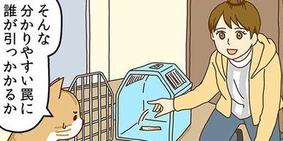 �ͥ��μꡢ�ڤ�Ƥޤ��� 21�ڥե륫�顼��